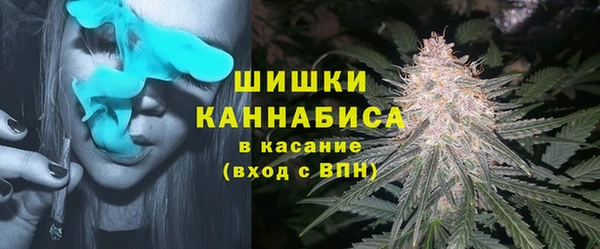 гашик Михайловка